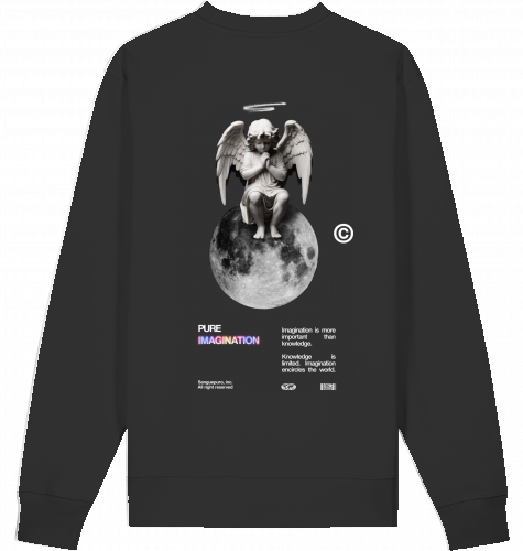 Imagination Icon Sweatshirt (Back Print)