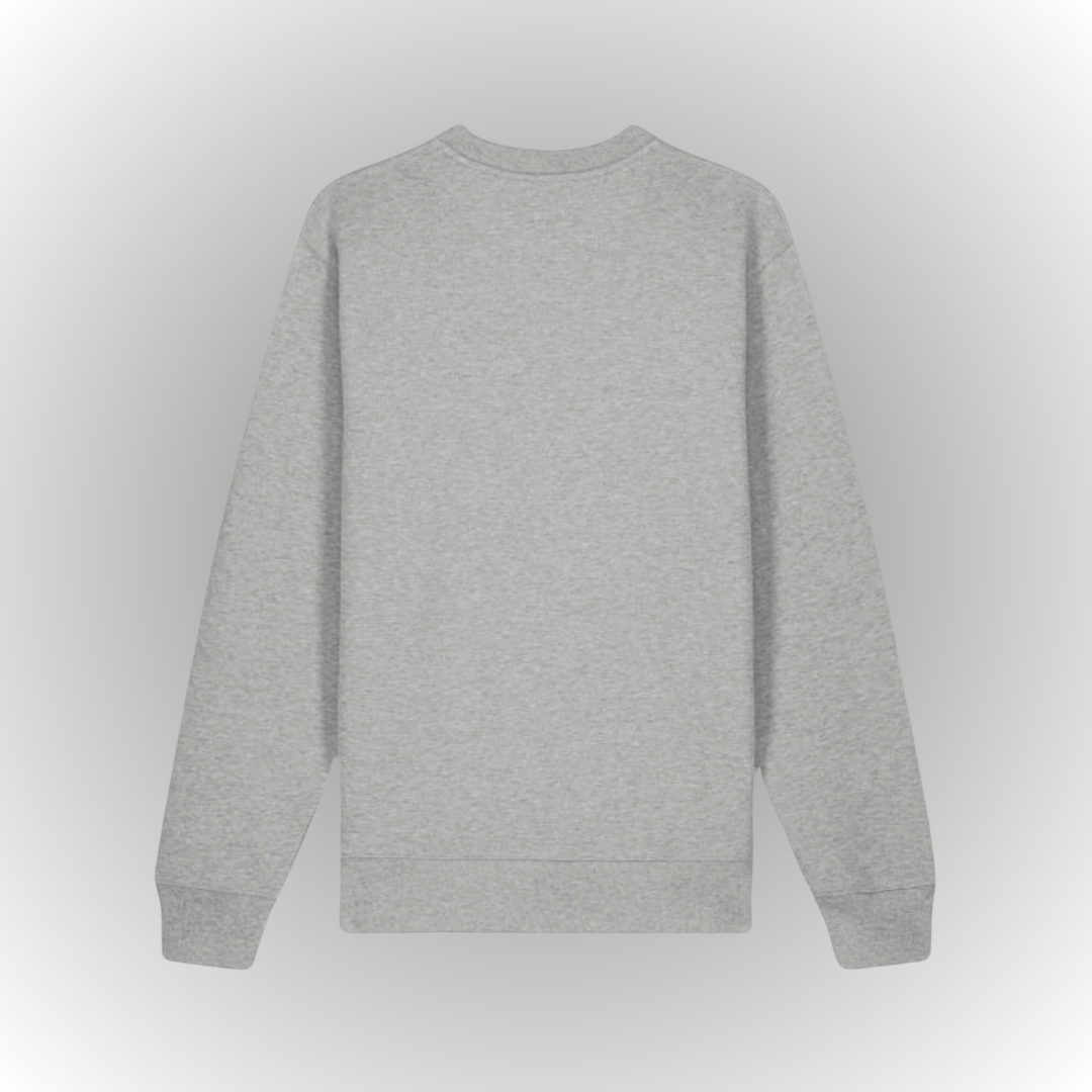 Process Oversize Heavy Sweatshirt Front Print